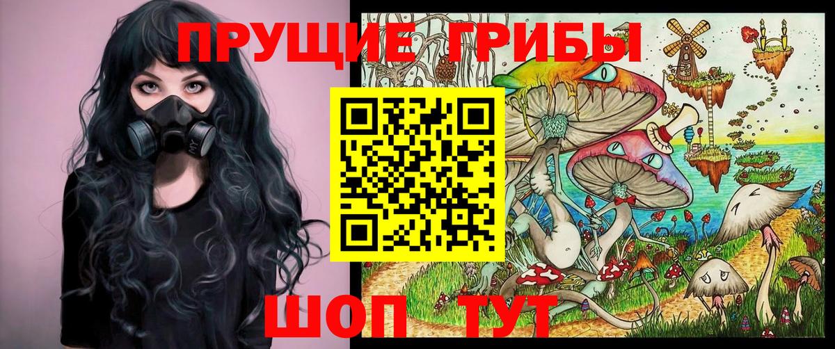 Галлюциногенные грибы Psilocybe  Вход с VPN  Буйнакск  как найти   Галлюциногенные грибы MAGIC MUSHROOMS 