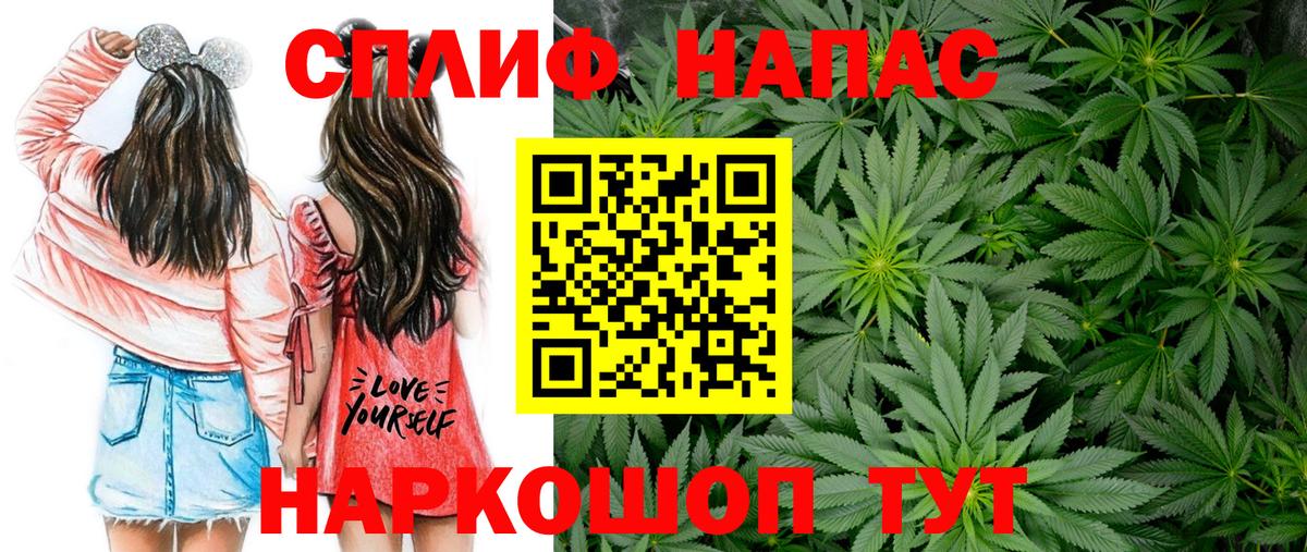 Бошки марихуана сатива  Вход с VPN  Буйнакск  МАРИХУАНА тримм  Бошки марихуана планчик 